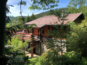 Отель Chalet Braunkopf ALSACE  Мюльбак-Сюр-Мюнстер